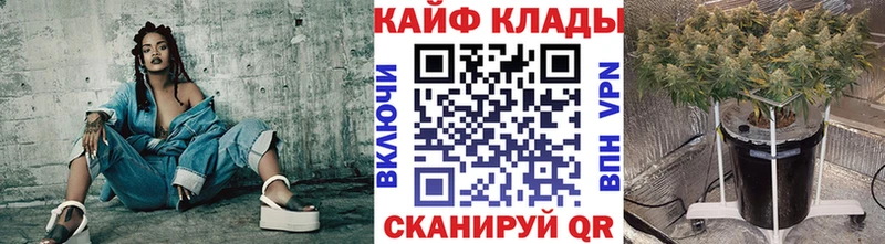Галлюциногенные грибы Ессентуки