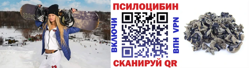 Псилоцибиновые грибы GOLDEN TEACHER  нарко площадка официальный сайт  Ессентуки 